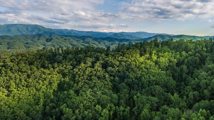 View! Private! Hot Tub,Pool Table,Fireplace,Relax! Sevierville Exterior foto